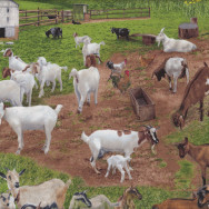 Goats Farm Animal Grass Billy Goat Quilting Fabric