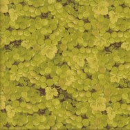Green Grapes Bunches and Leaves Quilting Fabric