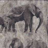 Elephants and Calves on Grey Wildlife LARGE PRINT Quilting Fabric