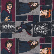 Harry Potter on Grey Hermione Ron Gryffindor Kids Licensed Quilting Fabric