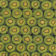Kiwi Fruit Green New Zealand NZ Kiwifruit Patchwork Quilt Fabric