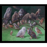 Realistic Owl Breeds on Branch Birds Wildlife Quilting Fabric Panel