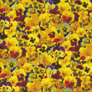 Yellow and Red Pansies Flowers Quilting Fabric