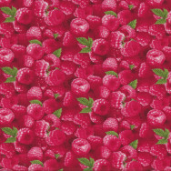 Red Raspberries Raspberry Fruit Kitchen Quilting Fabric