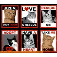 Rescue Me Grey Ginger Tabby Cats in Rectangles Fabric Panel