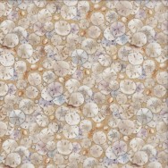 Sand Dollars Shells on Sand Beach Sea Nature Landscape Quilting Fabric