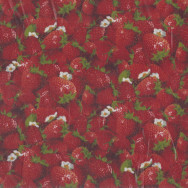 Red Strawberries LAMINATED Water Resistant Slicker Fabric 