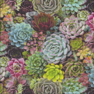 Succulents Quilting Fabric