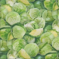 Cabbages Vegetables Veggie Kitchen Quilting Fabric