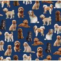 Cavoodle Dogs on Navy Cavoodles Quilting Fabric