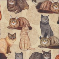 Gorgeous Cats on Beige Assorted Breeds Felicity Quilting Fabric