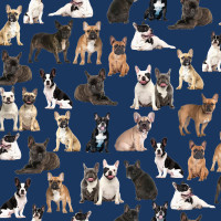 French Bulldogs on Navy Dogs Puppies Quilting Fabric