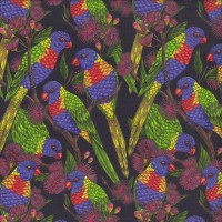 Colourful Lorikeets Birds on Black Wonderful Wings Quilting Fabric