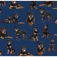 Rottweiler Dogs on Navy Rottweilers Quilting Fabric 