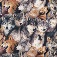 Grey and Brown Wolves Wild Dog Wolf Animal Quilting Fabric