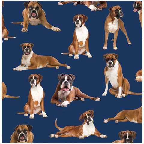 Boxer Dogs on Navy Boxers Quilting Fabric