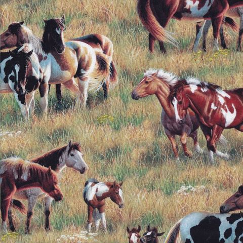 Brown Horses Foals on Dry Grass Pasture Buddies Quilting Fabric