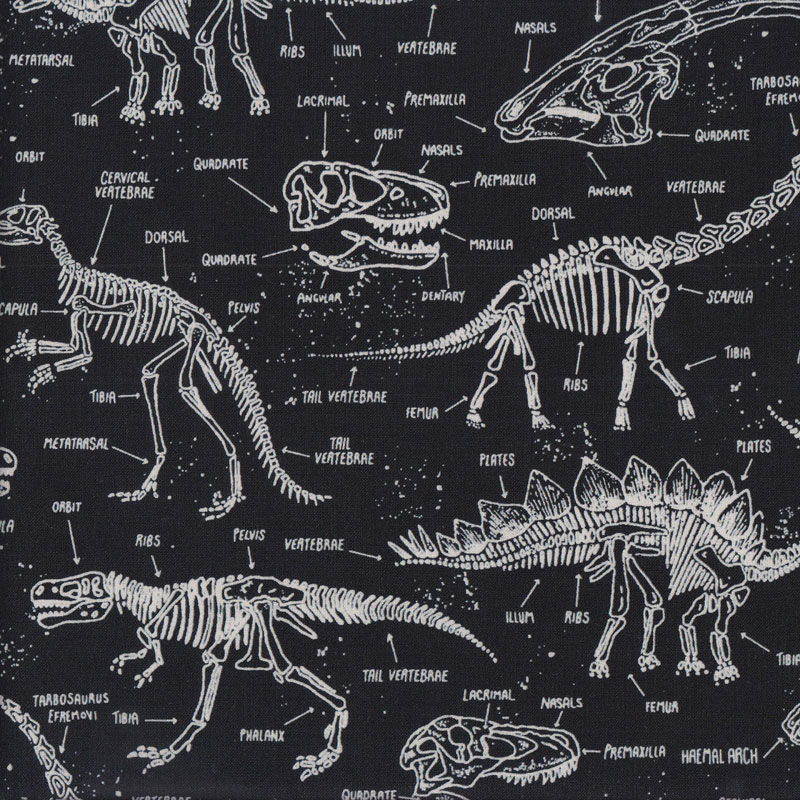 Cotton Fabric Fat Quarter quilting Glow in the Dark Dinosaur Skeletons on black 